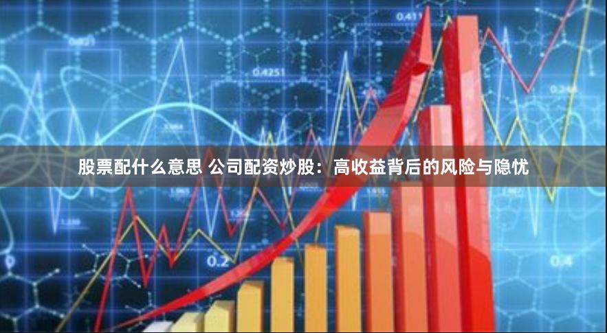 股票配什么意思 公司配资炒股：高收益背后的风险与隐忧