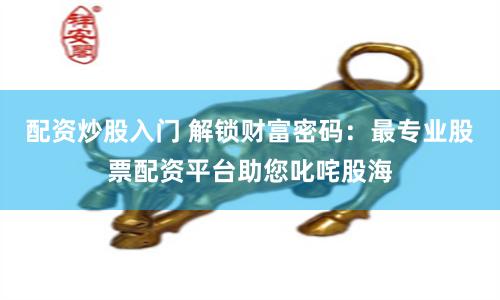 配资炒股入门 解锁财富密码：最专业股票配资平台助您叱咤股海